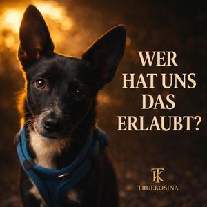 Wer hat uns das erlaubt
