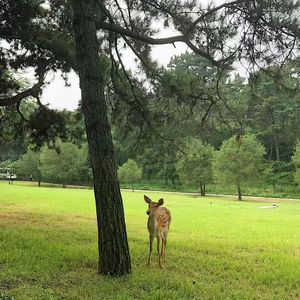 2023个人cypher缝合怪（街头招式beat7）