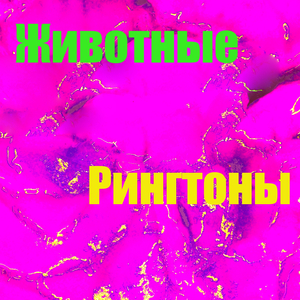 Гремучая змея