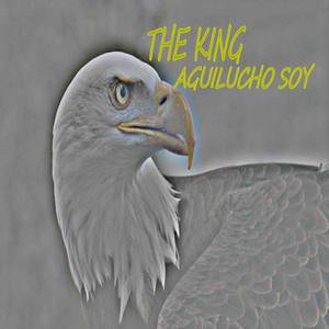 Aguilucho Soy