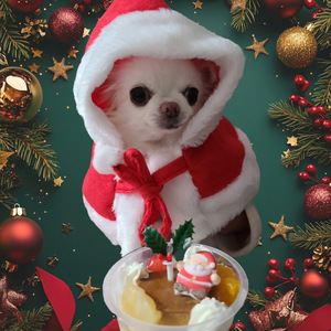 クリスマスの奇跡-雪降る夜に包まれて-