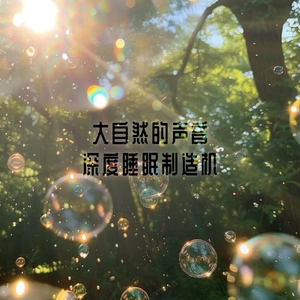 NO.7 早晨鸟叫 森林轻音乐