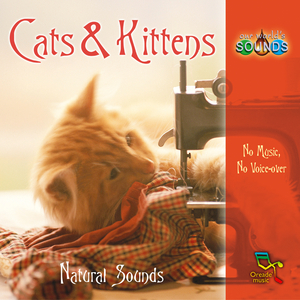 As the rain beats on the window, the remains of another bowl of food is discovered. Everyone sleeps or washes because it's been at least ten minutes ...