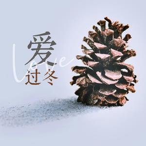 爱过冬