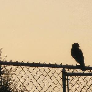 Headwaters (Instrumental)