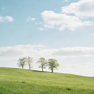 世界尽头黑沙滩