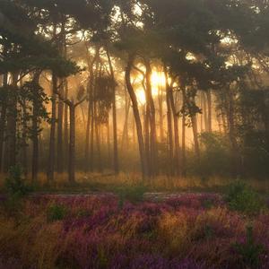 Don't Be Afraid to Fail If You Want to Succeed !