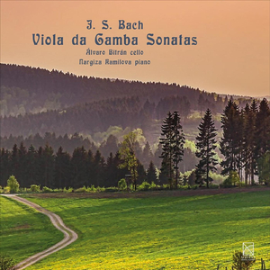 Sonata No. 1 in G Major, BWV 1027: III. Andante