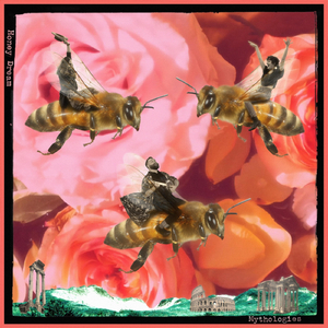 Honey Dream