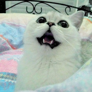 九张机——《双世宠妃》主题曲（Cover 叶炫清）