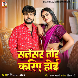 Salencer Tor Kariye Hoi