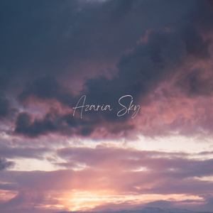 Zen Bowl (Singing Bowls)