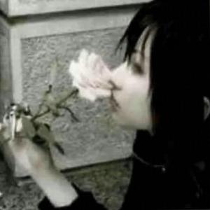 look on the brightside