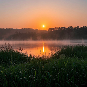 静かなる夜明け