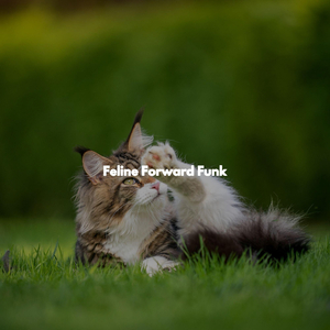 Bubbly Ambiance for Morning Boosters