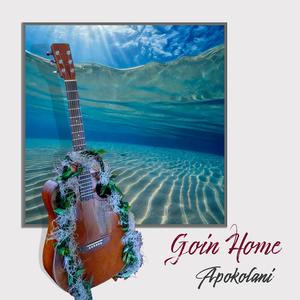 Goin Home (feat. Braddah Mau) (Instrumental)