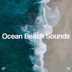 大海之声深睡眠