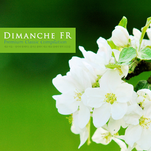 Beethoven: String Quartet No.7 In F Major Op.59 No.1 - I.Allegro