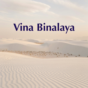 Vina Binalaya