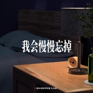 我会慢慢忘掉 (Alternative R&B Male Ver.)