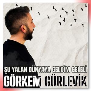 Şu Yalan Dünyaya Geldim Geleli