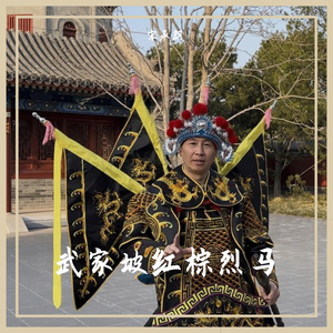 武家坡红棕烈马