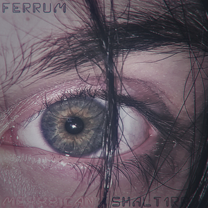 Ferrum (Original Mix)