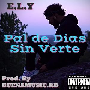 Pal de Dias Sin Verte (feat. BUENAMUSIC.RD)