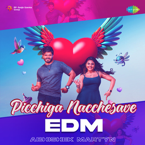 Picchiga Nacchesave - EDM