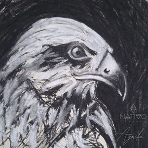 Águila