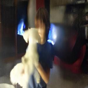 il mio cane è morto quindi gli ho dedicato una canzone