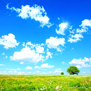 軽やかなステップ