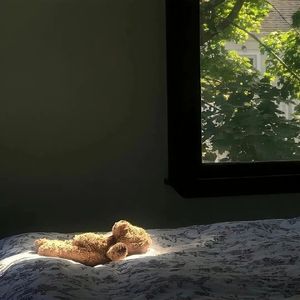 《阳光律动的流行音乐日》