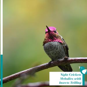 Sluggish Soft Water Stream