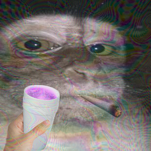 Proxeketas