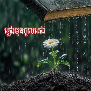 ភ្លេងមុនចូលគេង