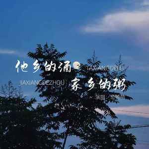 他乡的酒家乡的粥 (Live合唱版)
