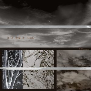 美与欢愉有不同时(Swallow the Pity)