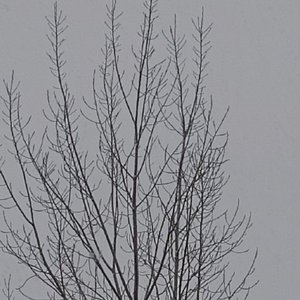天龙八部之宿敌(司丰熇)