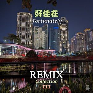 期待再相会 (Mix)