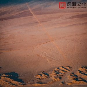 跟随你的稻草人(古筝)