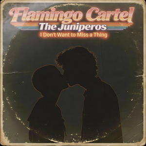 I Don't Want to Miss a Thing