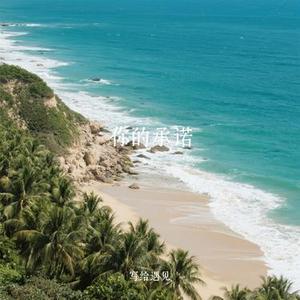 你的承诺 (Cover 海鸣威)