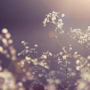 爱你胜过爱我自己 伴奏