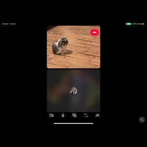 You’re My Happy Place