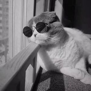 偏执（Prod. Gr33nart Beats）