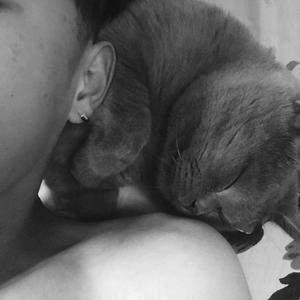 楼狐狸-不是吗-（翻自 楼狐狸）（WSS Remix）