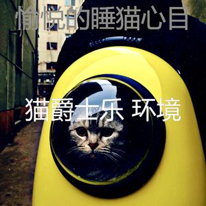 有趣小猫情怀