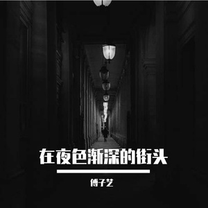 在夜色渐深的街头