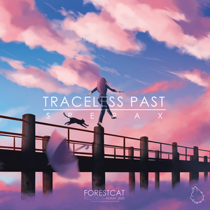 Traceless Past